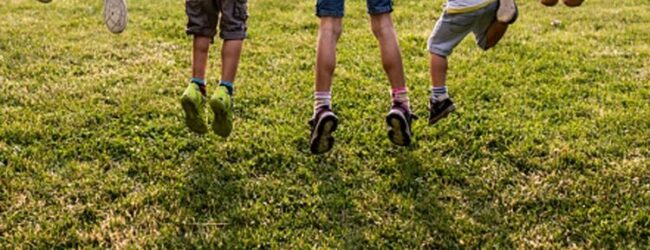 Campi solari, pubblicato l’avviso per l’assegnazione di un contributo economico