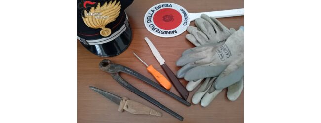 Furto sventato ad Apice, 19enne arrestato dai carabinieri