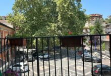 Pannarano, l’albero monumentale si rifà il look