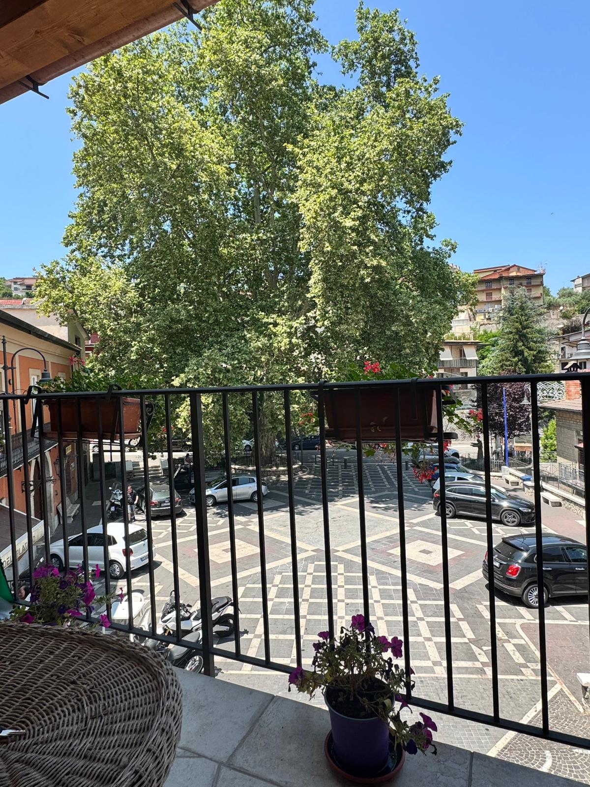 Pannarano, l’albero monumentale si rifà il look