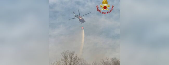 Incendio boschivo minaccia abitazioni: intervento dei Vigili del Fuoco