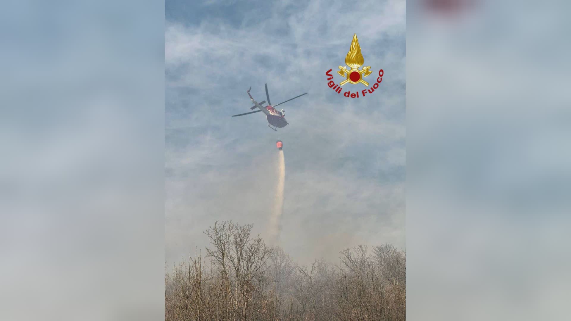 Incendio boschivo minaccia abitazioni: intervento dei Vigili del Fuoco