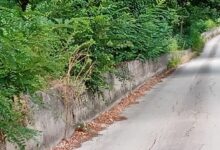 Benevento, degrado lungo il vialetto ciclo-pedonale: cittadina denuncia sui social l’abbandono e l’incuria