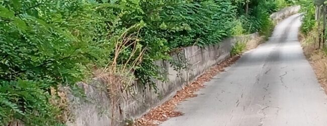Benevento, degrado lungo il vialetto ciclo-pedonale: cittadina denuncia sui social l’abbandono e l’incuria