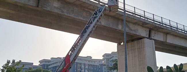 Calcinaccio cade dal ponte della Tangenziale Ovest: cittadino denuncia sui social la mancanza di manutenzione