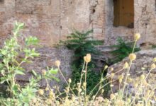 Benevento, Ciro Vallone (FDI): “San Pietro abbandonato tra rifiuti e rovine dimenticate”|FOTO