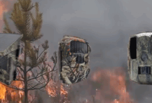 Fototrappole antincendio: la tecnologia che protegge i nostri boschi