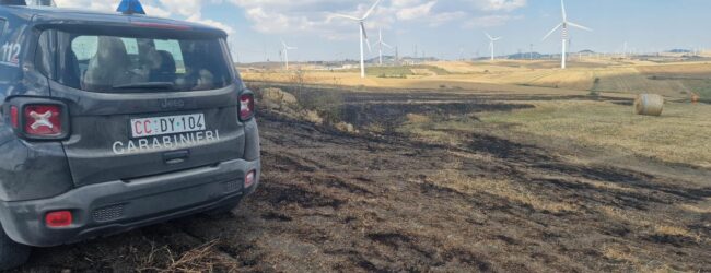 Incendio nelle campagne di Andretta, a fuoco 3 ettari di terreno