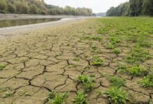 Coldiretti Campania, siccità sotto controllo con l’aiuto del piano invasi e dei Consorzi di bonifica