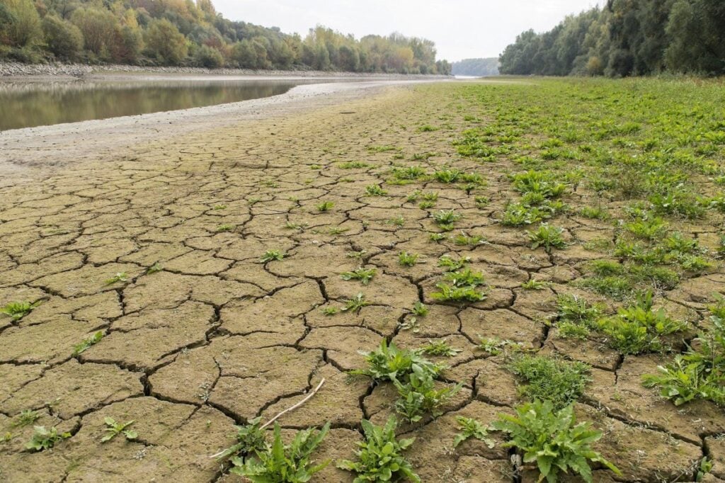 Coldiretti Campania, siccità sotto controllo con l’aiuto del piano invasi e dei Consorzi di bonifica