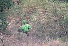 Baselice, proseguono le ricerche dell’ex sindaco scomparso