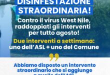 Puglianello, disinfestazione straordinaria contro il West Nile: interventi raddoppiati per tutto il mese di agosto