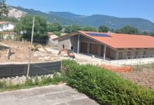 Morcone, grande allevamento a ridosso delle abitazioni e vicino a un torrente: l’On. Eleonora Evi (PD) presenta interrogazione parlamentare