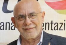 Crisi corilicolo in Campania, AOA: “Subito misure strutturali e un piano strategico per salvare la nocciola campana”