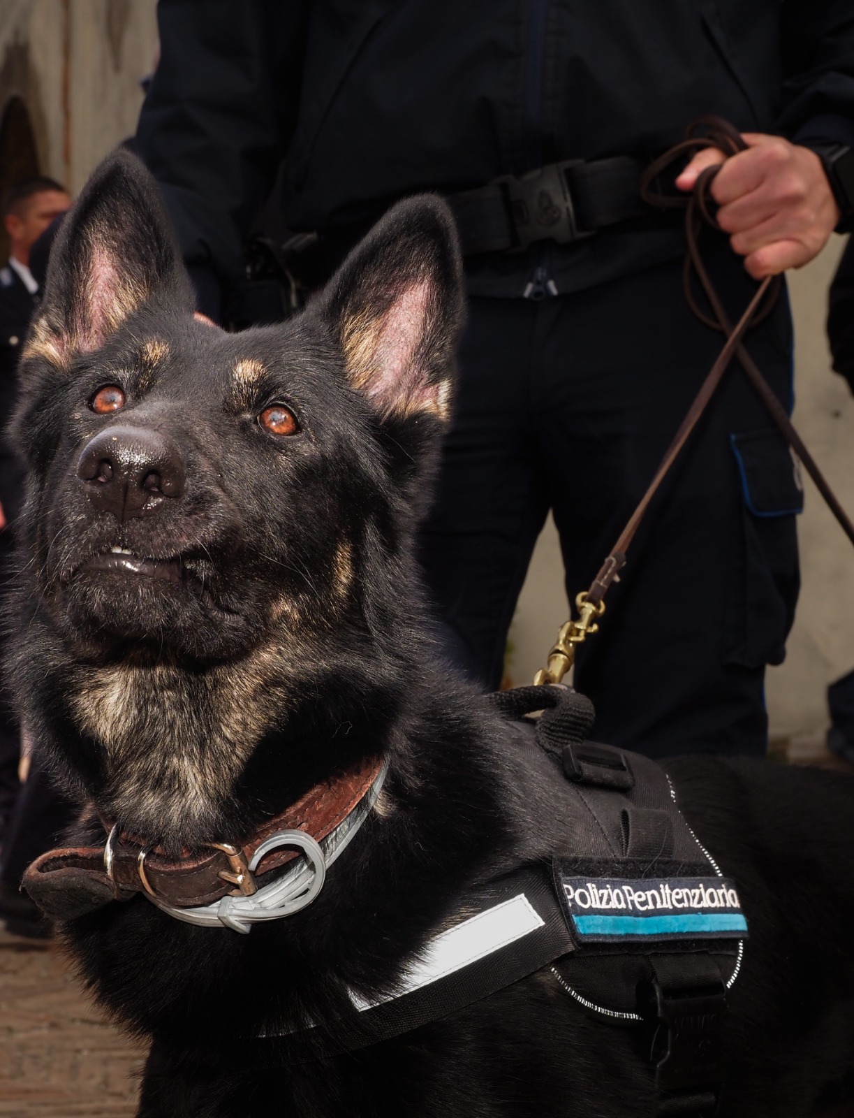 Baschi Azzurri della Penitenziaria sventano un tentativo di spaccio in carcere e arrestano due donne, una giovanissima incinta prossima al parto