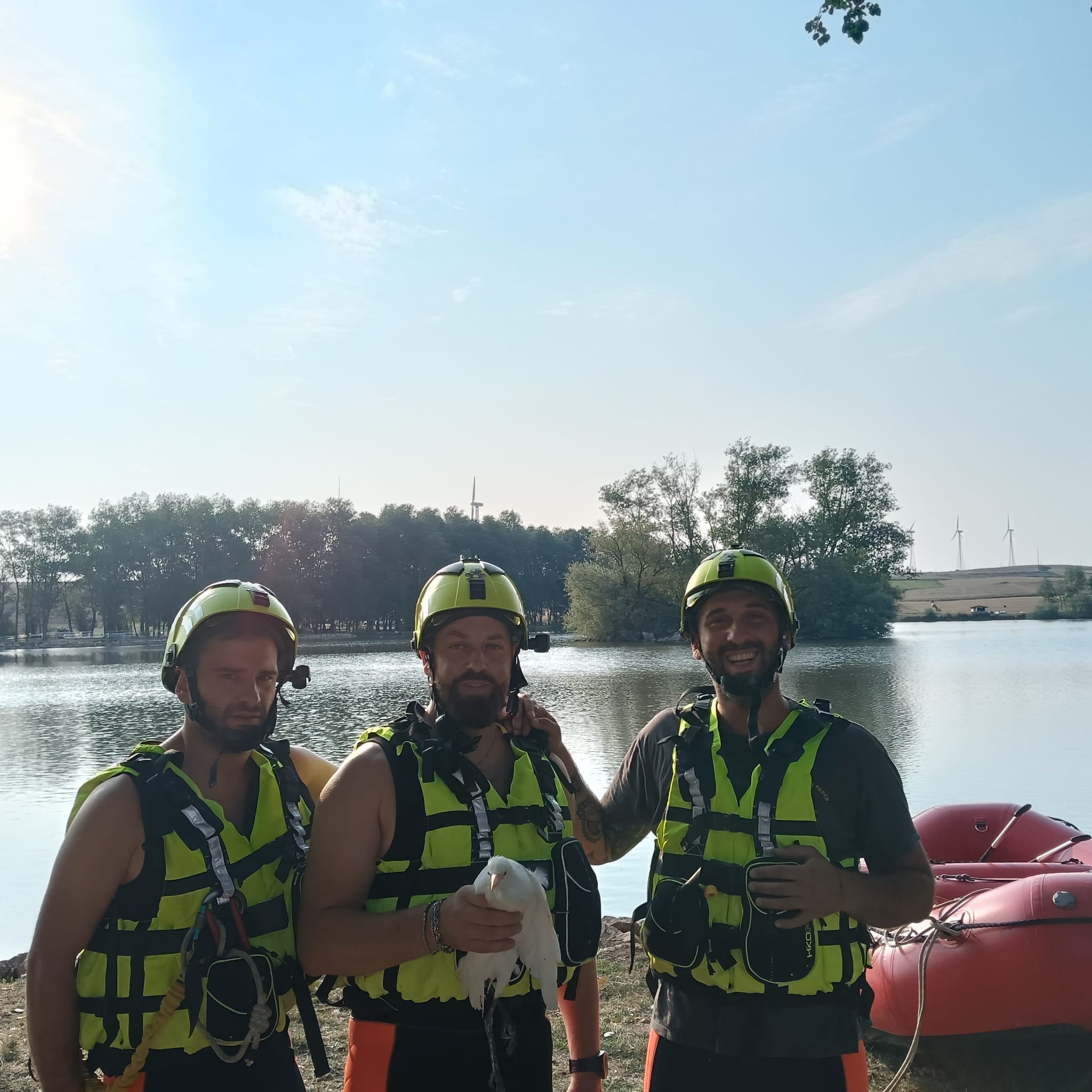 Vigili del Fuoco salvano airone intrappolato su un isolotto del lago di San Giorgio la Molara