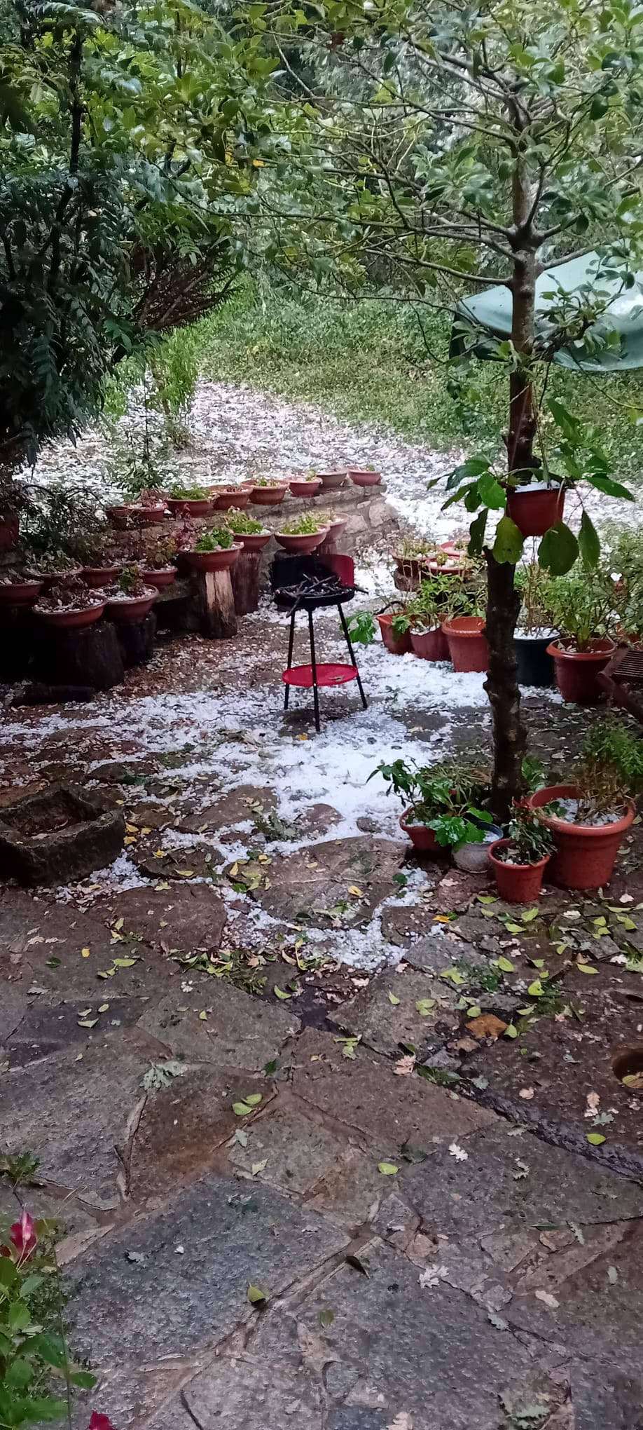 Maltempo nel Sannio: forte grandinata nel Fortore