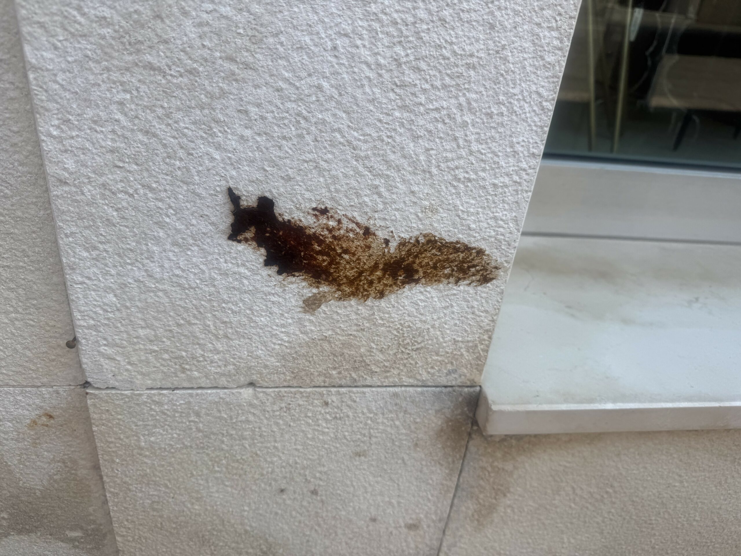 Deiezioni canine sporcano l’ingresso del negozio, commerciante di Benevento denuncia atto incivile