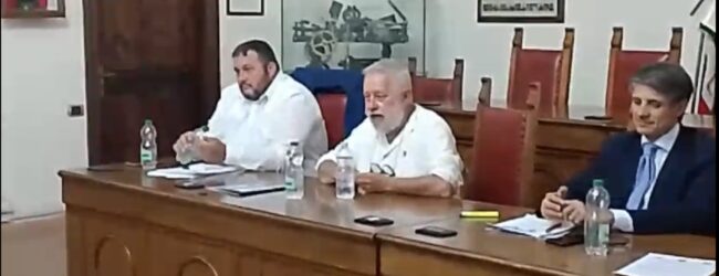 Crisi della corilicoltura in Irpinia: presentato documento con proposte. Chiesto lo stato di calamità