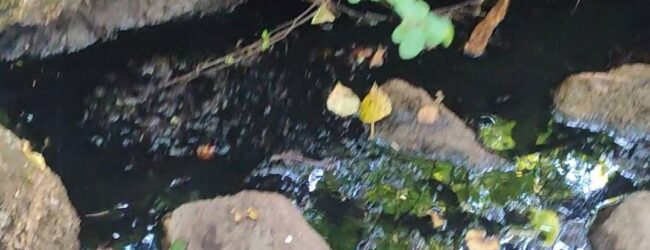 Comitato Civico “Rispetto e Tutela del Territorio” – Sassinoro: Una vergogna autorigenerante, senza fine!