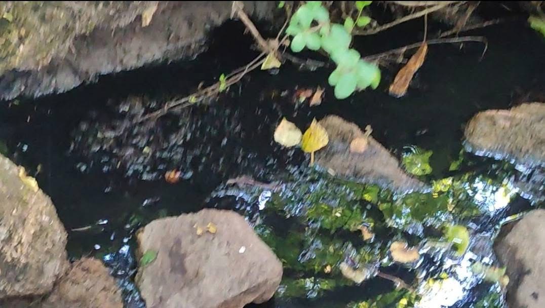 Comitato Civico “Rispetto e Tutela del Territorio” – Sassinoro: Una vergogna autorigenerante, senza fine!