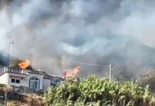 Ischia, incendio devasta colline di Succhivo e Sant’Angelo: si indaga sulle cause