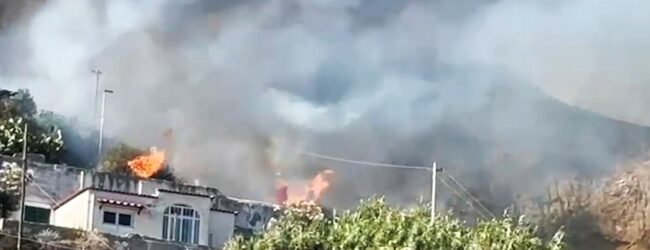 Ischia, incendio devasta colline di Succhivo e Sant’Angelo: si indaga sulle cause