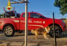 Gesualdo, cane rimane incastrato tra le inferriate: salvato dai Vigili del Fuoco