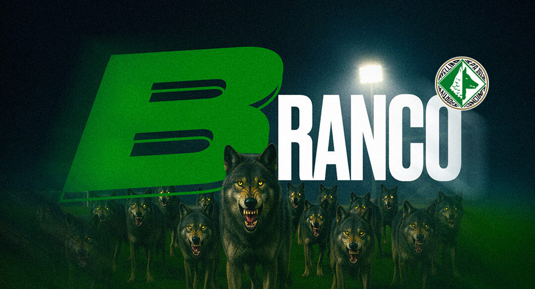 Avellino Calcio: la campagna abbonamenti “Branco” terminerà venerdi 8 agosto