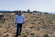 Peretti (AVS): “Alla Campania serve una Legge regionale sul Clima”