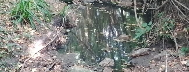 Disastro Sassinoro, percolato dappertutto