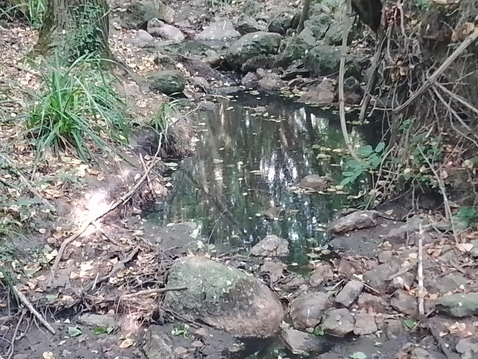 Disastro Sassinoro, percolato dappertutto