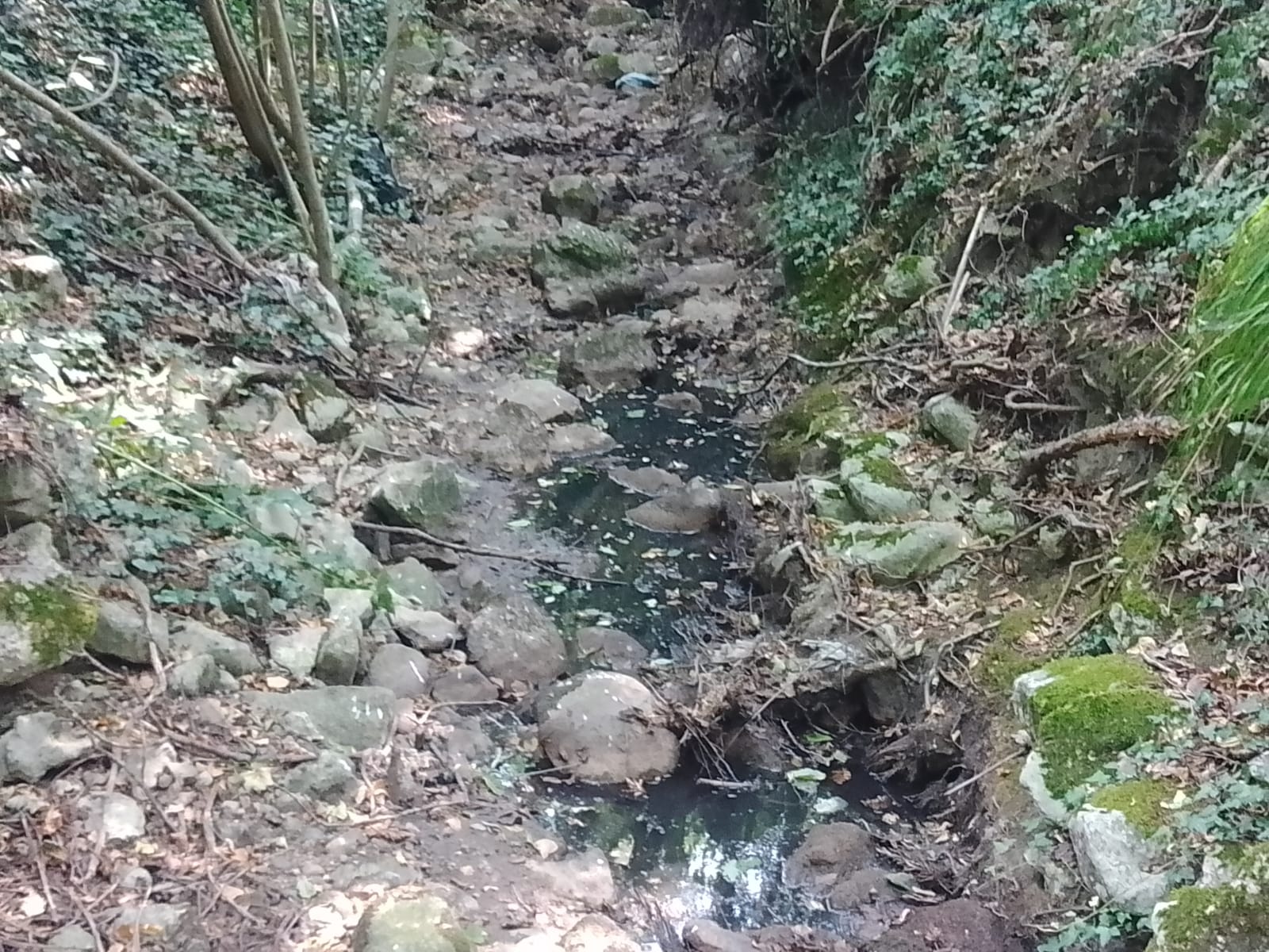 Sassinoro, i risultati dell’Arpac in Procura: presto la verità sulle sostenze inquinanti