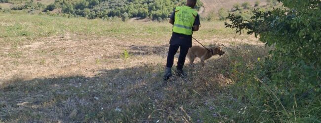 Scomparsa Nicola Paolozza: le ricerche dell’ex sindaco di Baselice continueranno fino a domenica