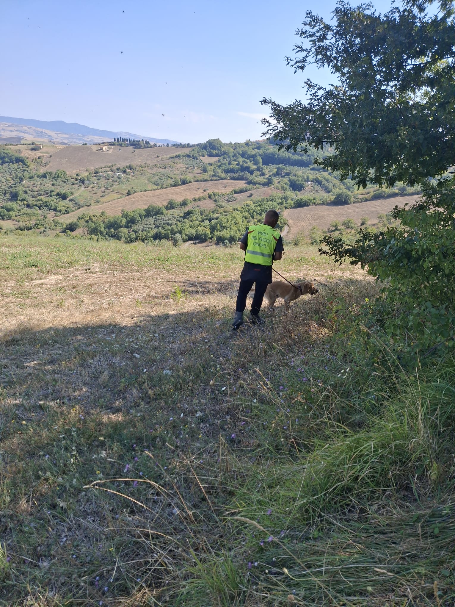 Scomparsa Nicola Paolozza: le ricerche dell’ex sindaco di Baselice continueranno fino a domenica