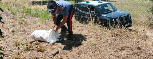 Fontanarosa, ritrovati buoni postali rubati: erano stati sottratti dall’abitazione di un anziano