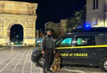 Controlli della Guardia di Finanza nel Sannio: sequestri di droga e segnalazioni alla Prefettura