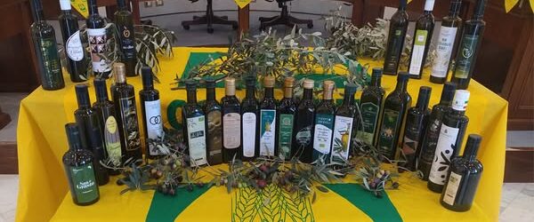 Dazi Usa, Coldiretti e Filiera Italia: “Da vino a olio stangata da oltre 1 miliardo”