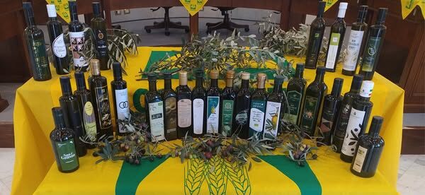 Dazi Usa, Coldiretti e Filiera Italia: “Da vino a olio stangata da oltre 1 miliardo”