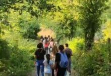 “Bagno nel bosco e Sabba de Nuce” l’evento tra natura e tradizione