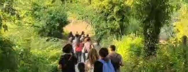 “Bagno nel bosco e Sabba de Nuce” l’evento tra natura e tradizione