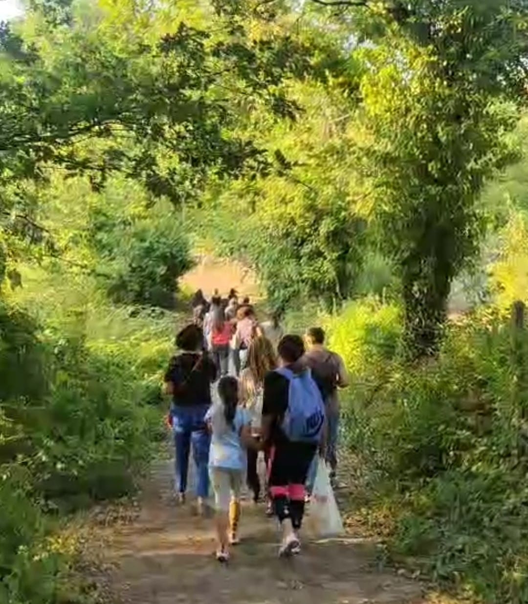“Bagno nel bosco e Sabba de Nuce” l’evento tra natura e tradizione