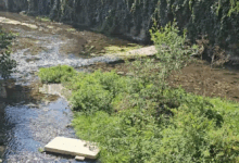 Rifiuti nel torrente Fenestrelle, indagini in corso: i Carabinieri rafforzano i controlli ambientali