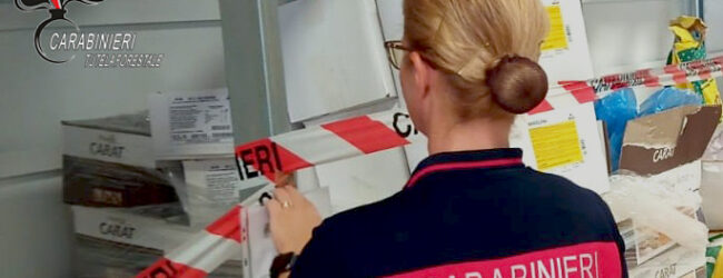 Ospedaletto d’Alpinolo, i Carabinieri sequestrano una tonnellata di alimenti scaduti