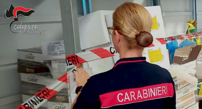 Ospedaletto d’Alpinolo, i Carabinieri sequestrano una tonnellata di alimenti scaduti
