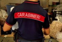 Controlli agroalimentari: sequestrati due quintali di prodotti non idonei al consumo umano