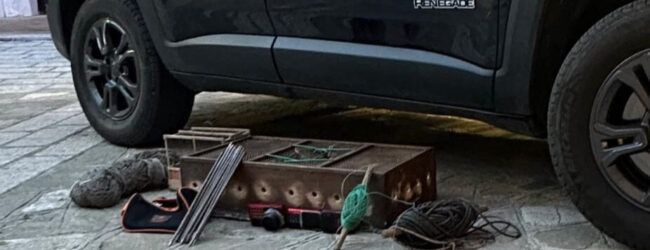 Vallata (AV), denunciato 60enne per uccellagione: sequestrate attrezzature e liberati 8 cardellini