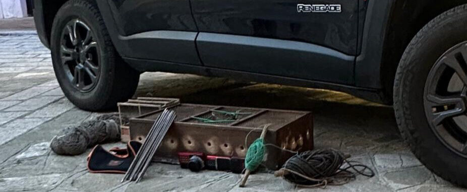 Vallata (AV), denunciato 60enne per uccellagione: sequestrate attrezzature e liberati 8 cardellini