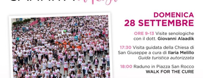 Cerreto Sannita si accende di rosa con la fiaccolata a sostegno di Komen Italia