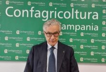 Confagricoltura Campania: preoccupazione per l’azzeramento dei dazi USA-UE su frutta a guscio